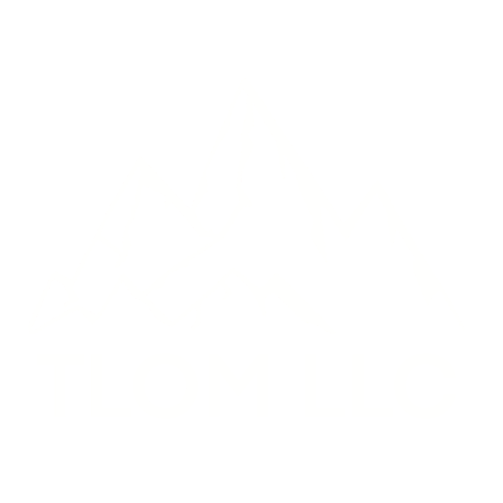 TLOM Media